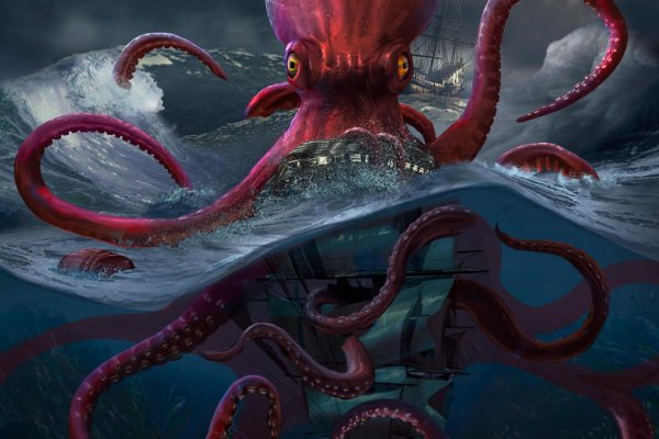 Как вывести деньги с kraken